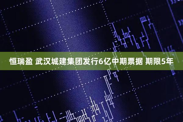 恒瑞盈 武汉城建集团发行6亿中期票据 期限5年