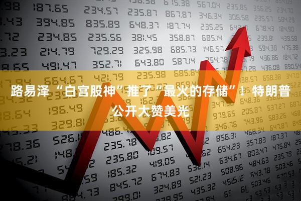 路易泽 “白宫股神”推了“最火的存储”！特朗普公开大赞美光
